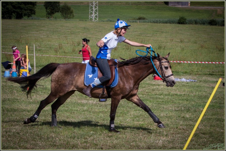Mounted Games 308
